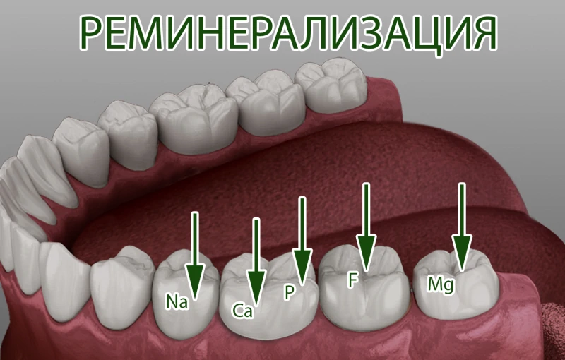 Почему зубная эмаль твердая?